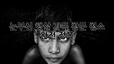 ✨ 눈부신 햇살 가득! 창문 청소 완전 정복 ☀️