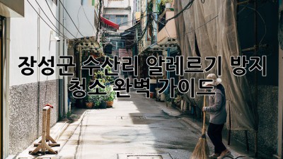 장성군 수산리 알레르기 방지 청소 완벽 가이드